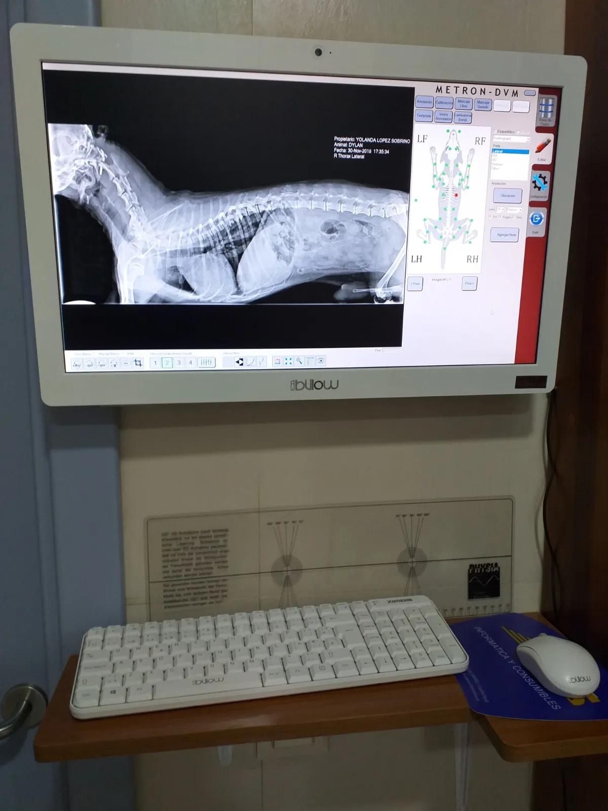 Equipo de radiología digital directa para animales en Clínica Veterinaria Herreros, Daimiel