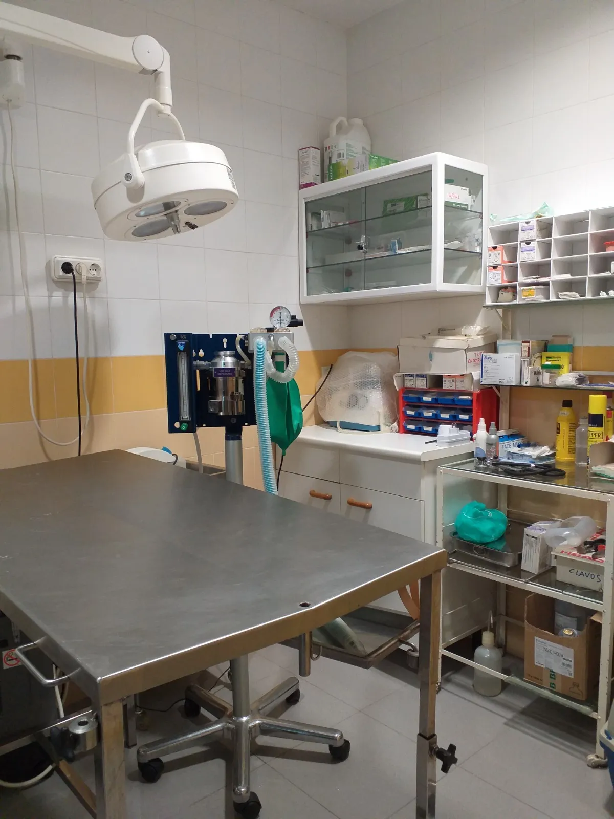 Quirófano de cirugía veterinaria en Clínica Veterinaria Herreros, Daimiel, Ciudad Real