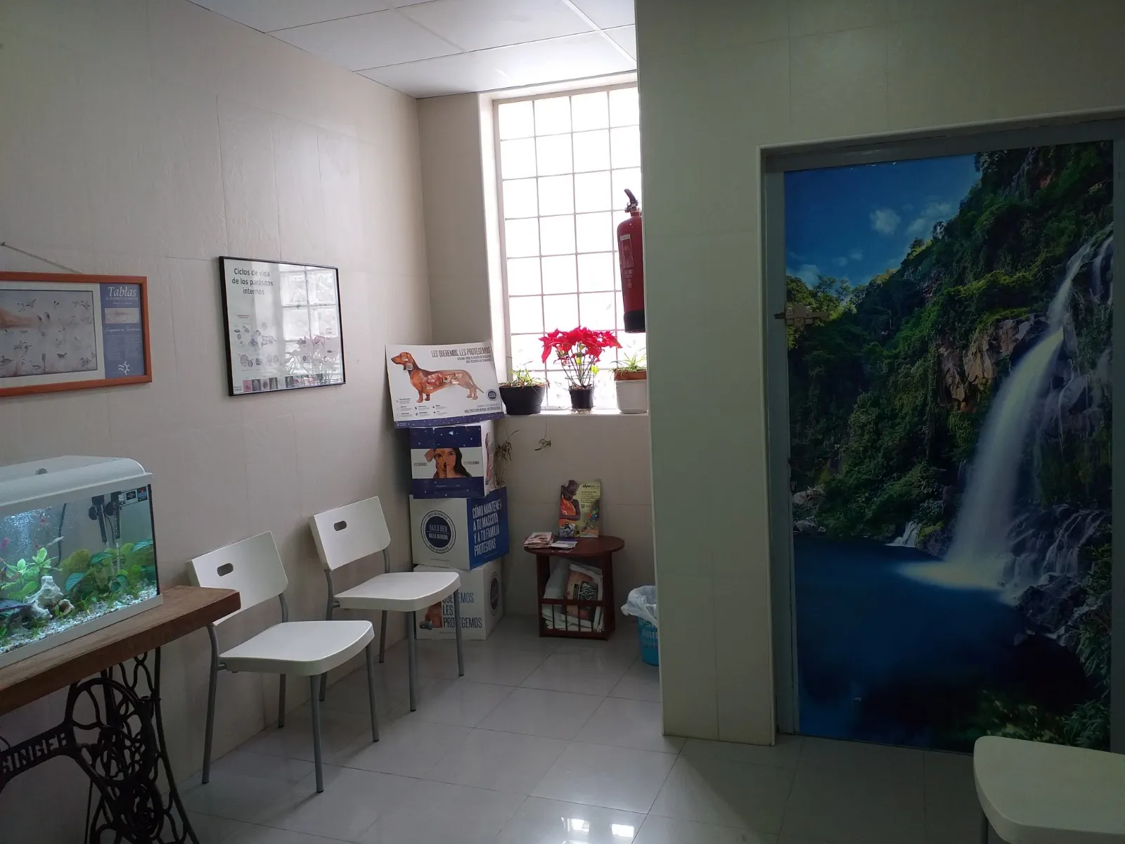 Zona de espera para mascotas en la Clínica Veterinaria Herreros, Daimiel