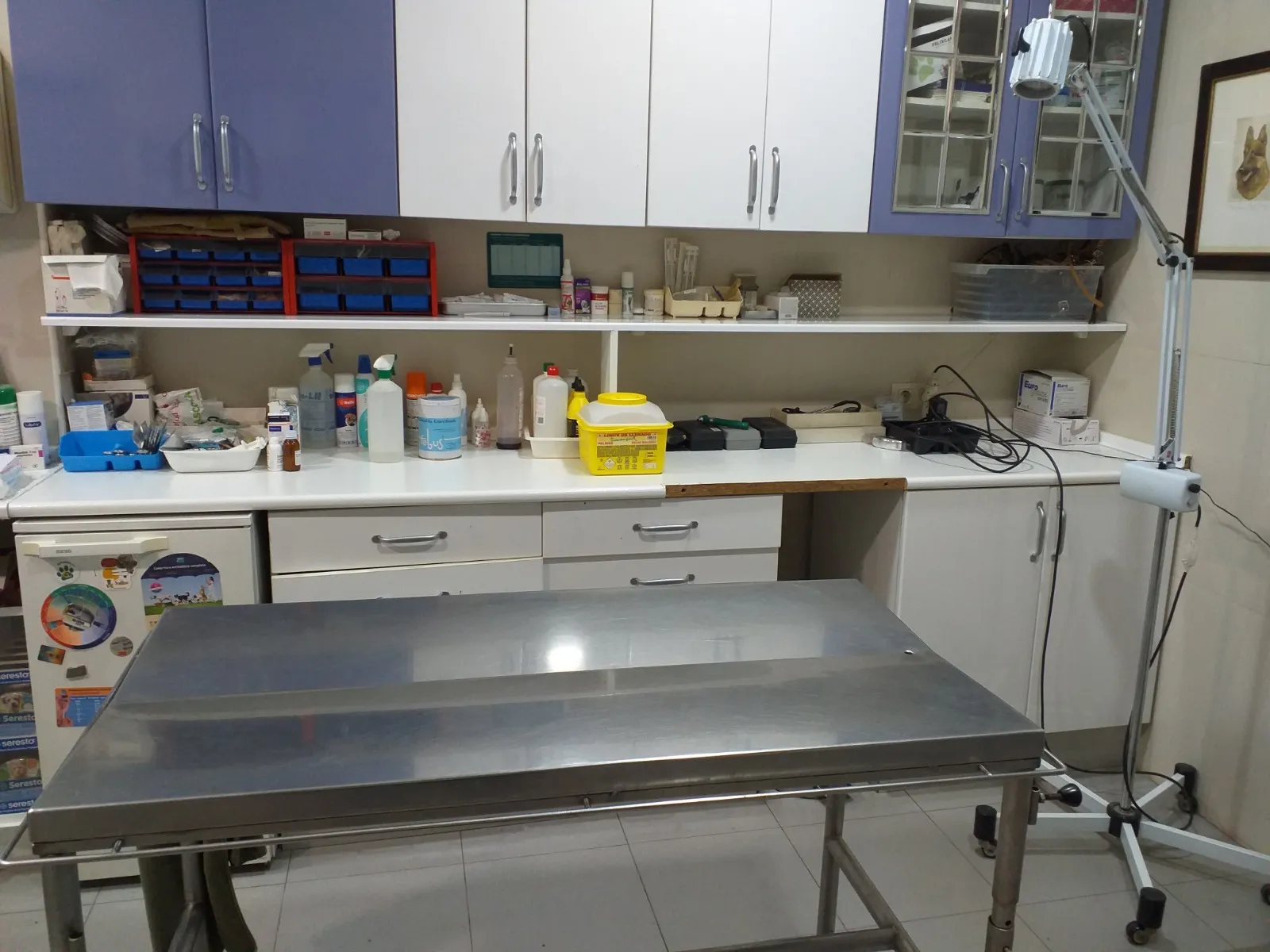 Consulta de medicina general veterinaria en Clínica Veterinaria Herreros, Daimiel