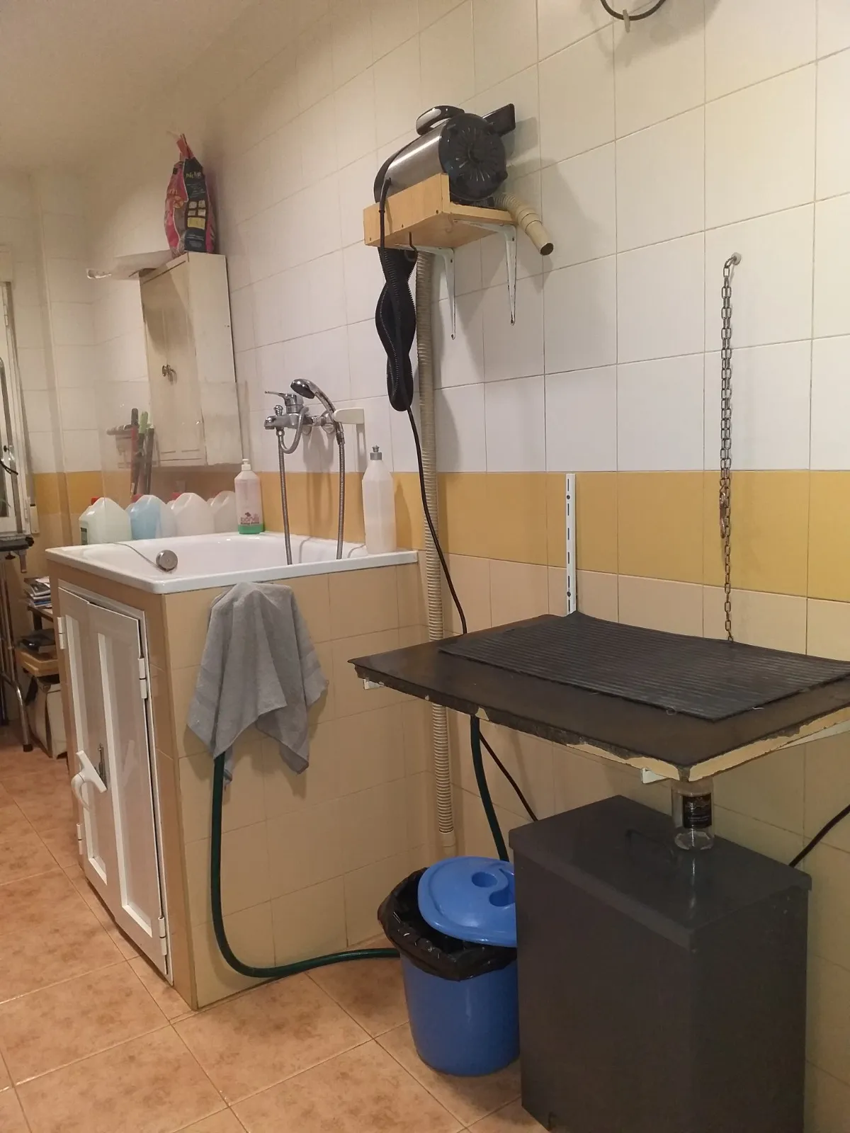Servicio de peluquería y estética canina en Clínica Veterinaria Herreros, Daimiel